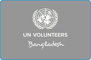 UN Volunteers image